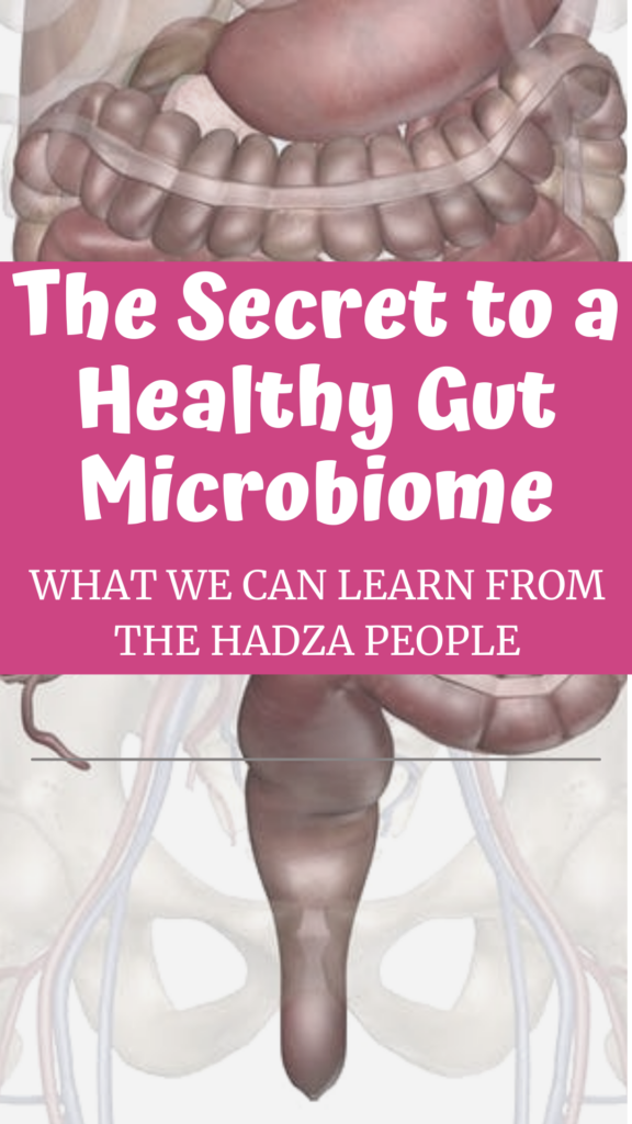 The Secret to a Healthy Gut Microbiome HadZa agutsygirl.com