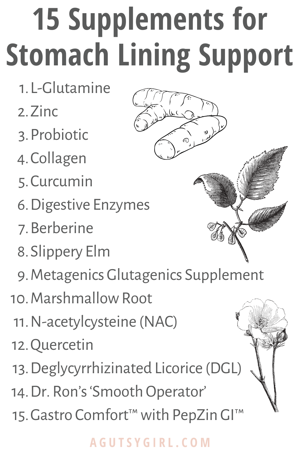 15 Supplements for Stomach Lining Support agutsygirl.com #supplement #supplements #guthealth #healing