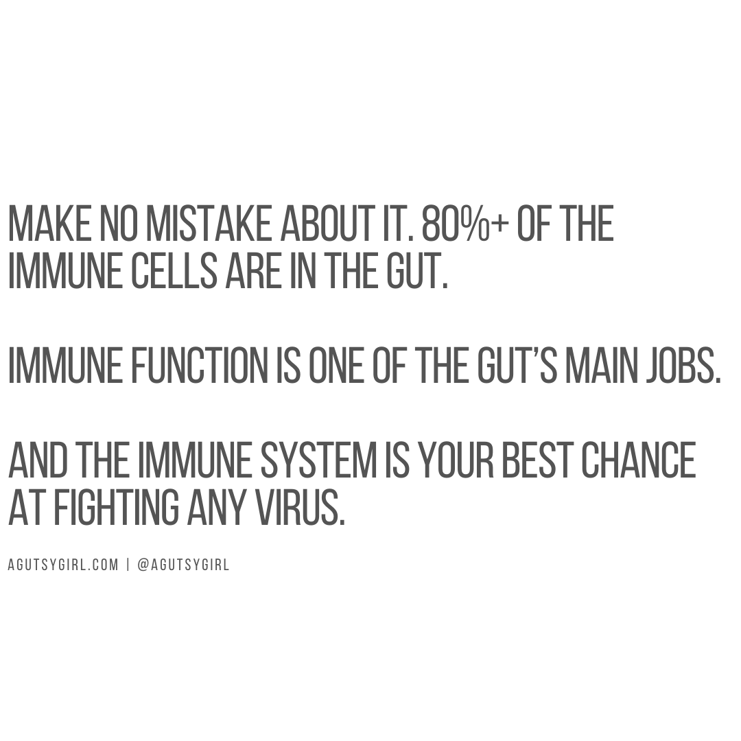 Fight a Virus by Protecting Your Gut agutsygirl.com quote quotes immune system #immune #immunesystem #guthealth