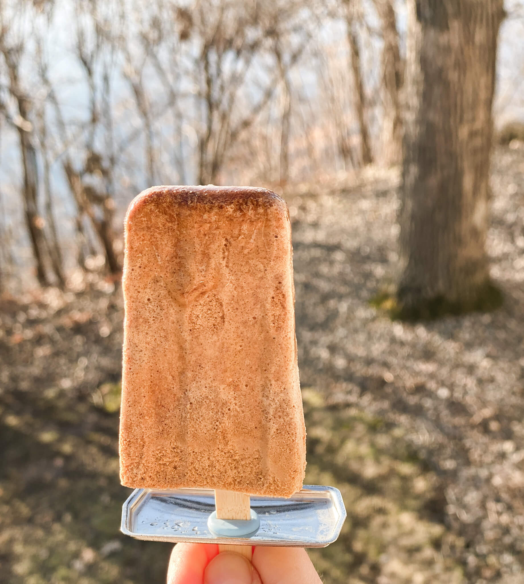 Paleo Coffee Popsicle Recipe agutsygirl.com #dairyfree #glutenfree #popsicles #coffeepopsicle gut healthy