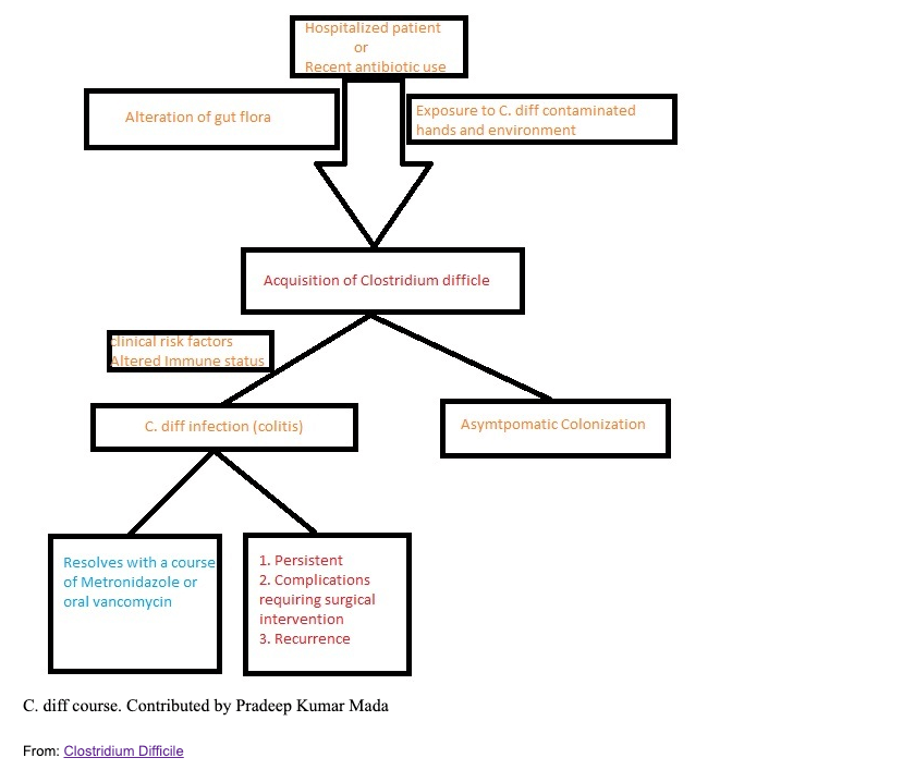 What is C Diff agutsygirl.com #cdiff #guthealth #gut Pradeep Kumar Mada NIH