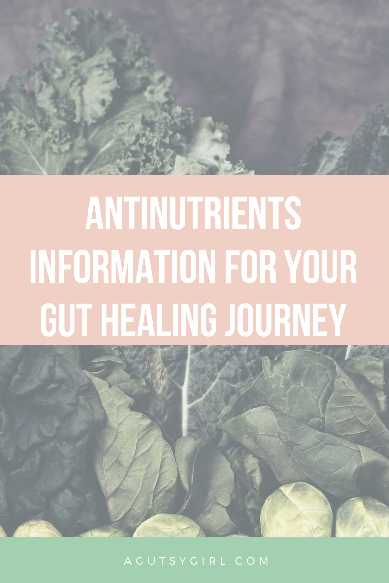 Antinutrients Information for Your Gut Healing Journey agutsygirl.com #antinutrients #guthealth #nutrition