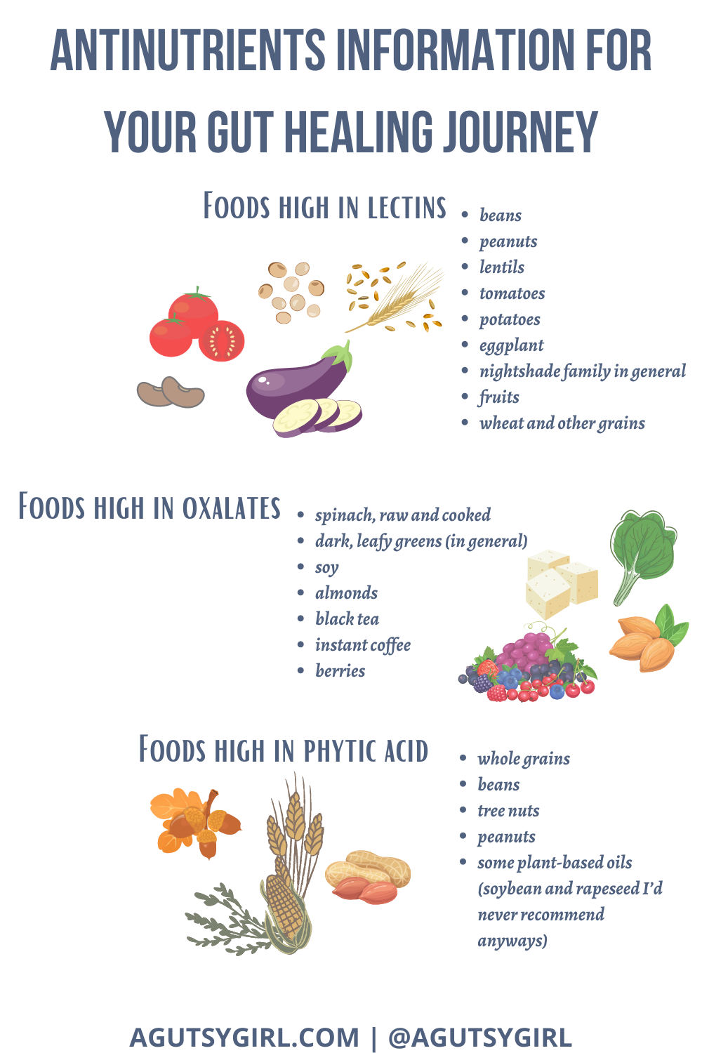 Antinutrients Information for Your Gut Healing Journey agutsygirl.com #antinutrients #guthealth #oxalates