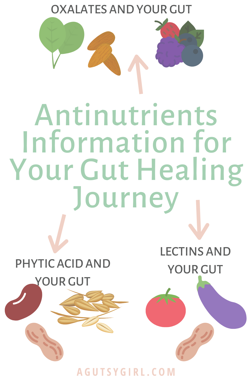 Antinutrients Information for Your Gut Healing Journey agutsygirl.com #nutrition #guthealth #healthyliving