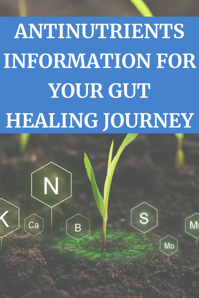 Antinutrients information for your gut healing journey with A Gutsy Girl agutsygirl.com