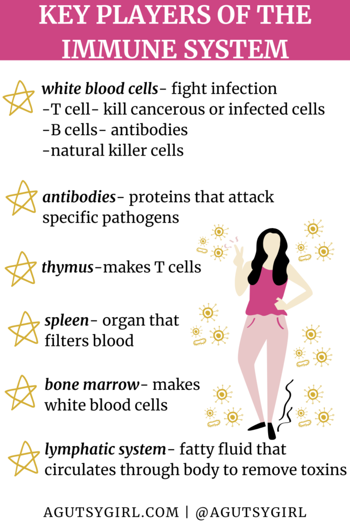 Interesting Facts About the Immune System {Plus 13 Science Backed Ways to Boost Your Immune System} agutsygirl.com