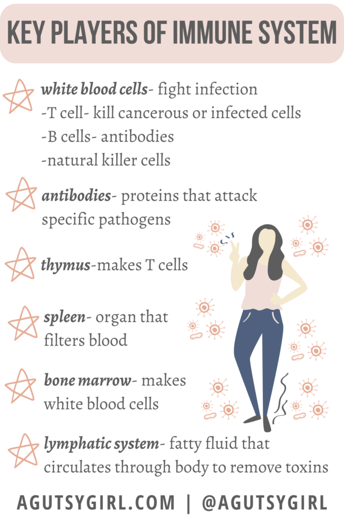Interesting Facts About the Immune System {Plus 13 Science Backed Ways to Boost Your Immune System} agutsygirl.com #immunesystem
