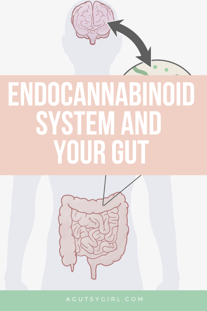 Endocannabinoid System and Your Gut agutsygirl.com #guthealth #endocannabinoidsystem #gutbrainaxis