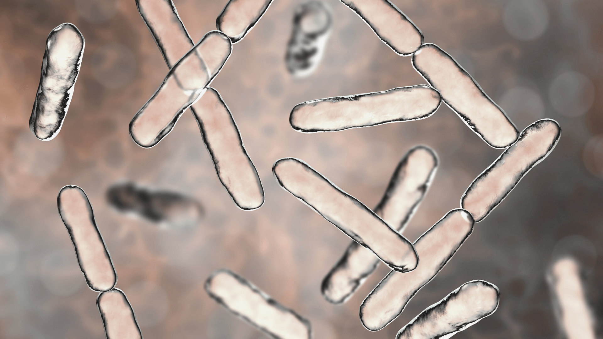Top 10 Ways You’re Damaging Your Gut Bacteria