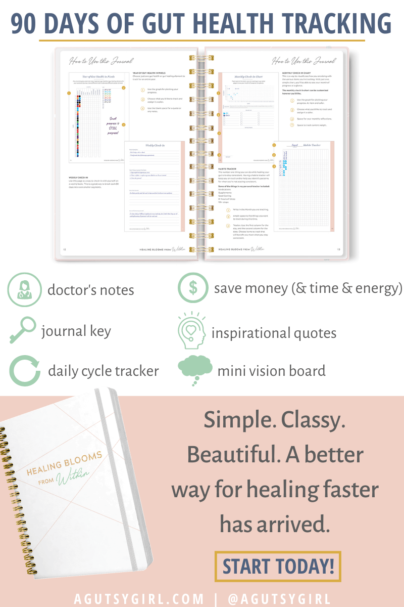 90-days of gut health tracking agutsygirl.com healing blooms from within healing #guthealth #guthealing #eliminationdiet #foodjournal