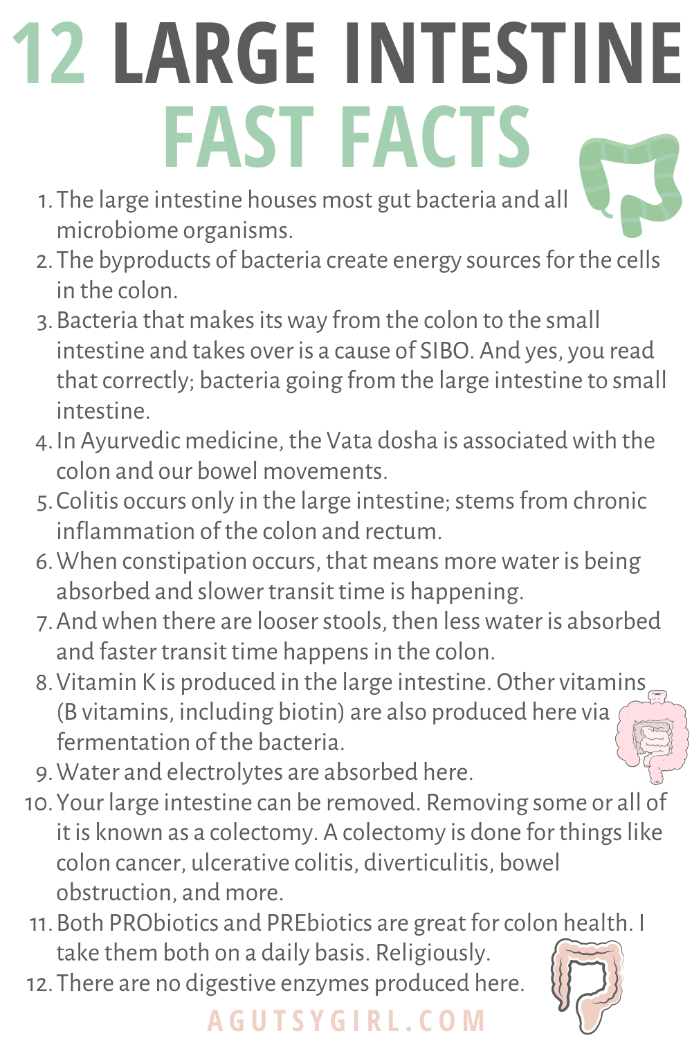 All About the Large Intestine agutsygirl.com 12 facts #largeintestine #fiber #colon #guthealth