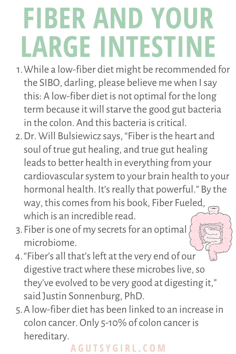 All About the Large Intestine agutsygirl.com fiber #fiber #colon #guthealth