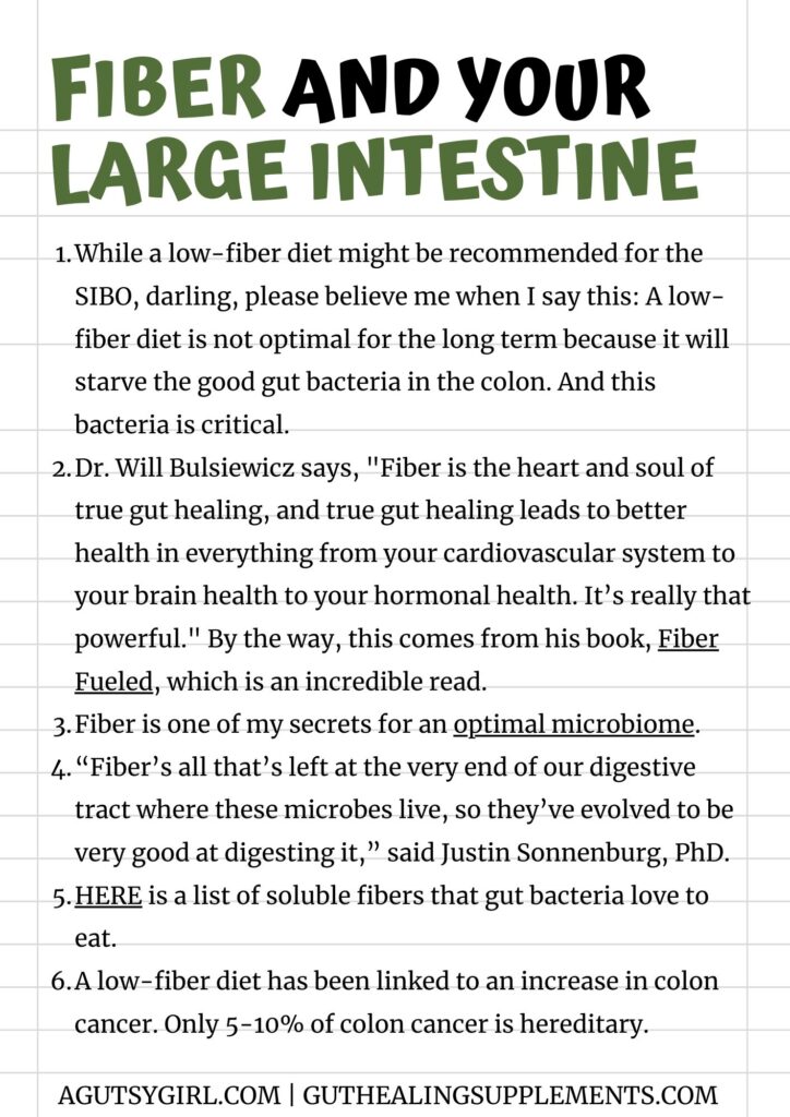 Fiber and your large intestine A Gutsy Girl agutsygirl.com