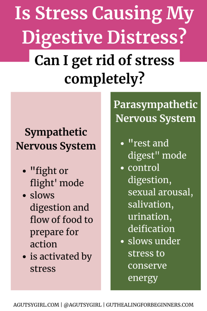 Is Stress Causing My Digestive Distress agutsygirl.com #stress ##ibs