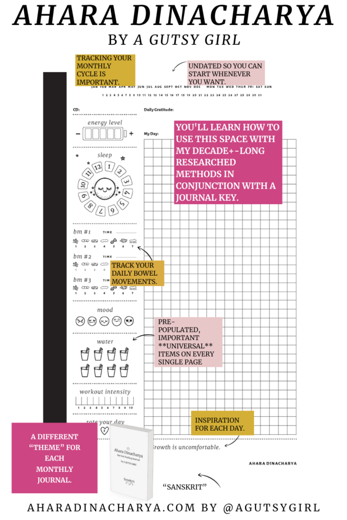 gut healing minimalist bullet journal by A Gutsy Girl aharadinacharya.com What is Ayurveda - [The Ultimate Beginner's Guide]