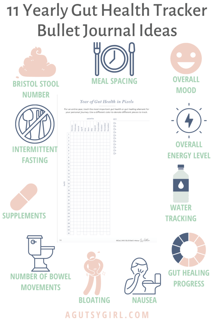 11 Yearly Gut Health Tracker Bullet Journal Ideas agutsygirl.com