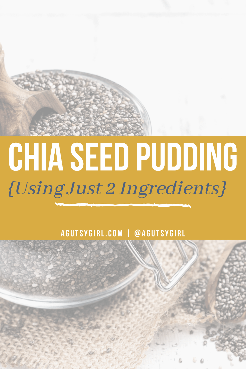 Chia Seed Pudding agutsygirl.com #guthealth #chiapudding #chiaseeds