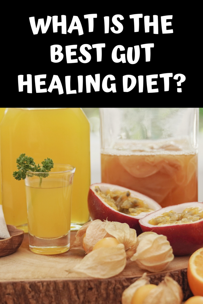 What is the best gut healing diet agutsygirl.com