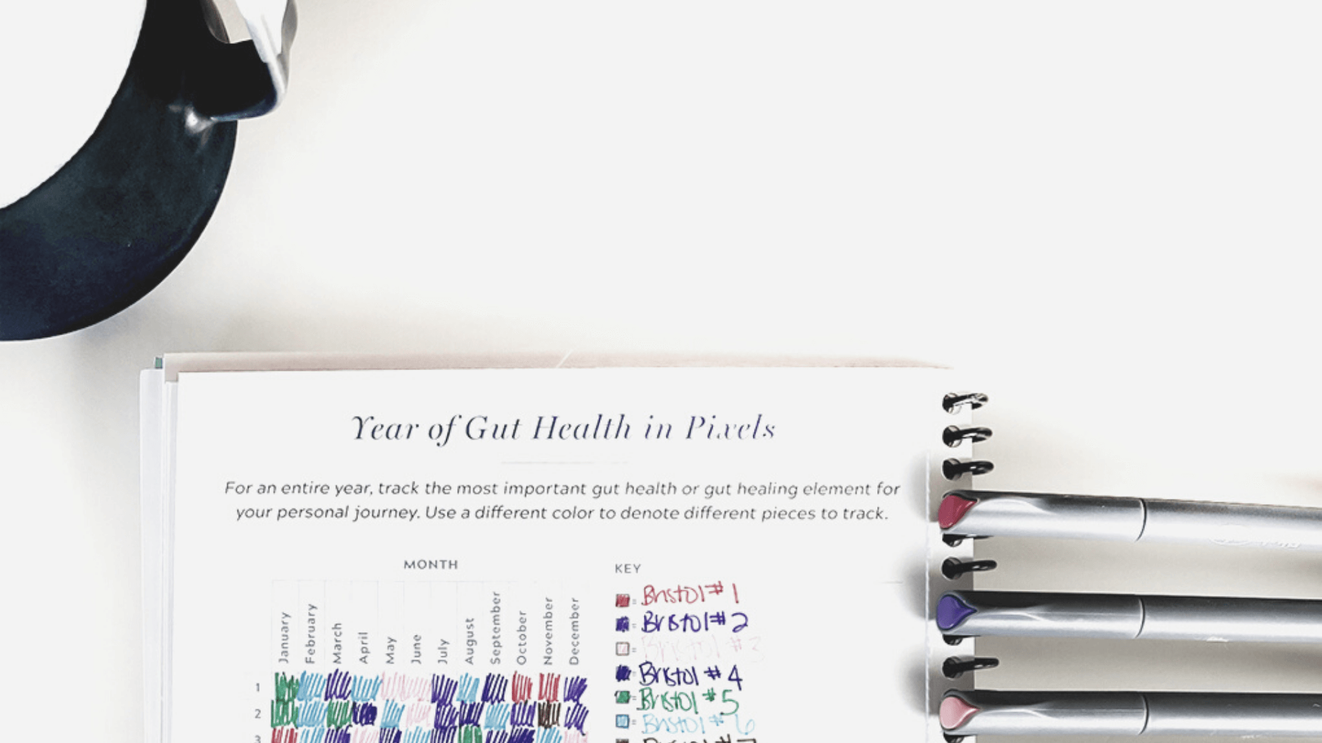 11 Yearly Gut Health Tracker Bullet Journal Ideas