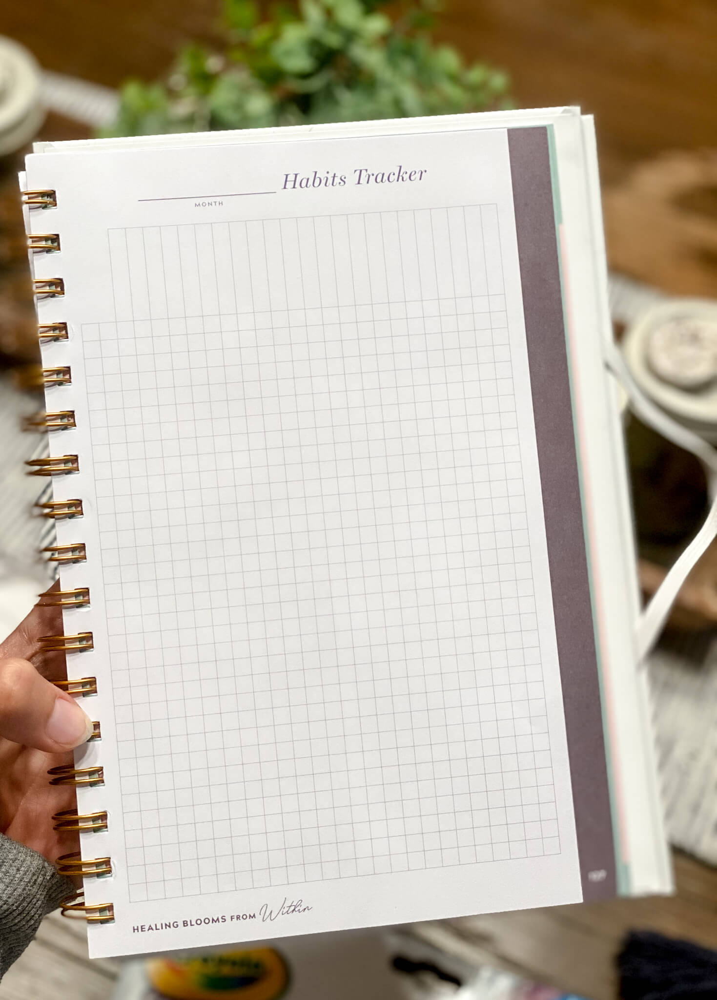 34 gut health and healing habits to track in your bullet journal agutsygirl.com #guthealing #foodjournal #eliminationdiet #healthlog 90-day journal