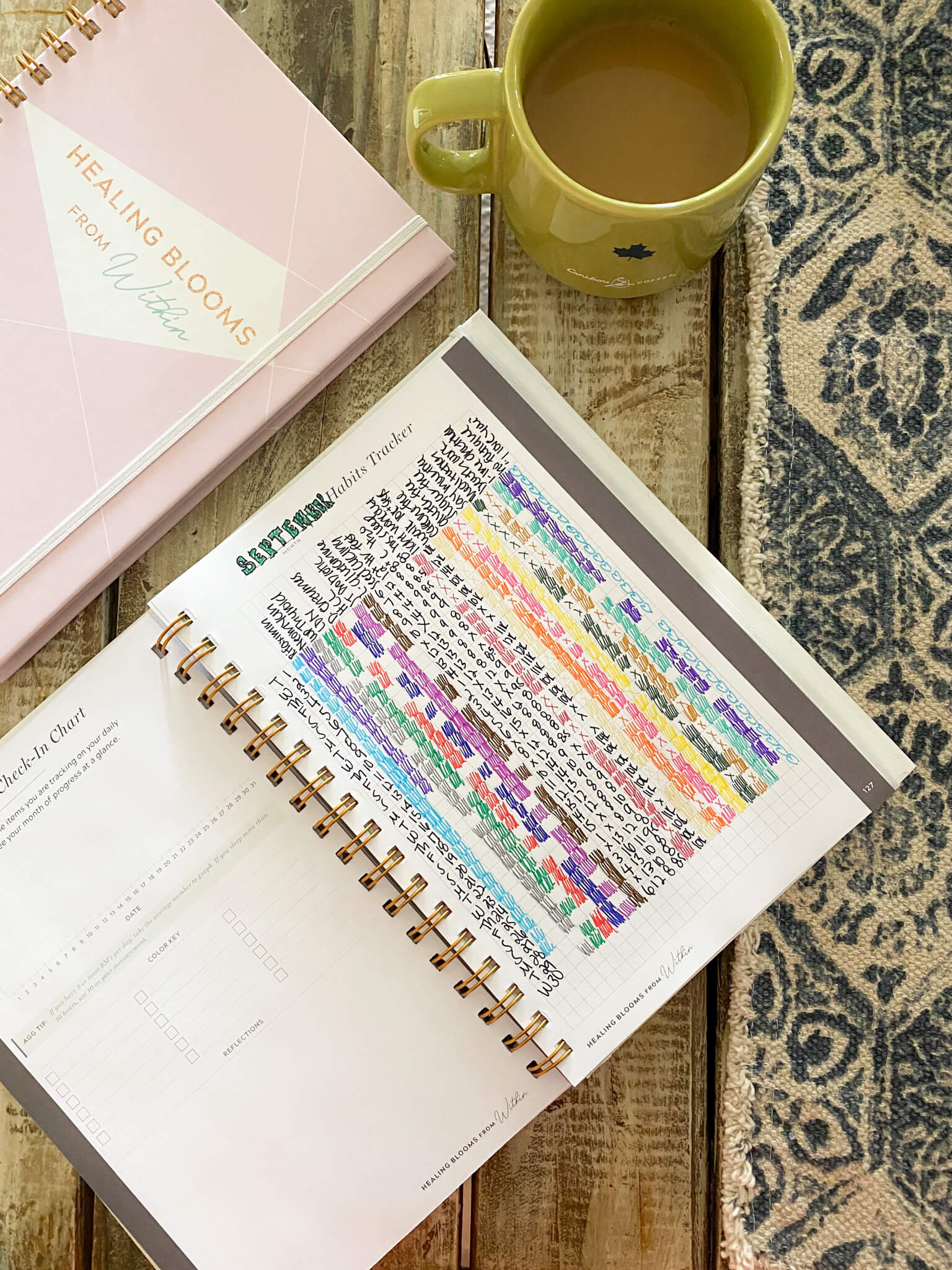 34 gut health and healing habits to track in your bullet journal agutsygirl.com #guthealing #foodjournal #eliminationdiet #healthlog ideas