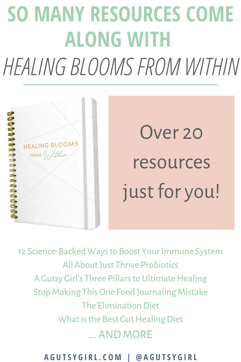 90-Day Gut Healing Journal resources agutsygirl.com #guthealth #guthealing #journals #journaling