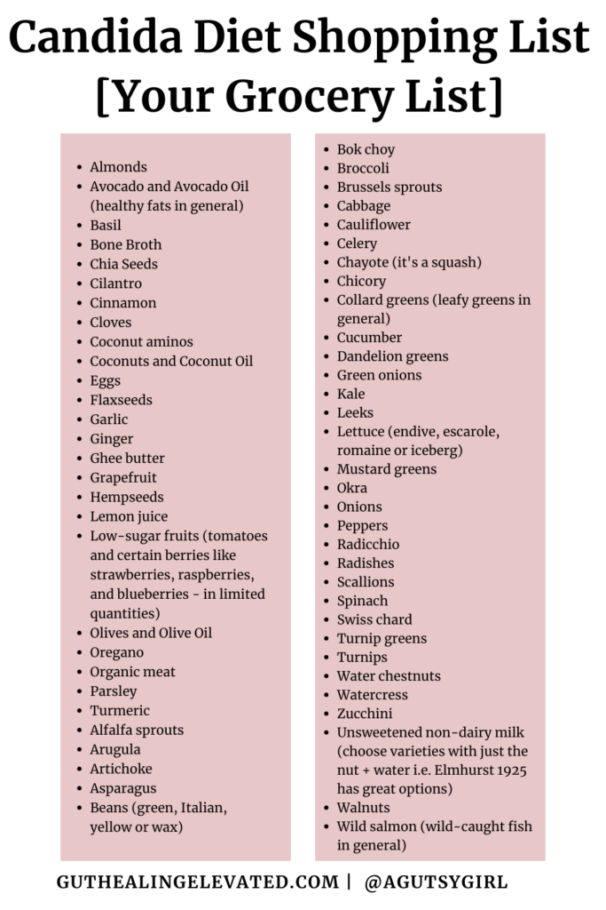Candida Diet Shopping List {Your Grocery List} symptoms agutsygirl.com #candida grocery list