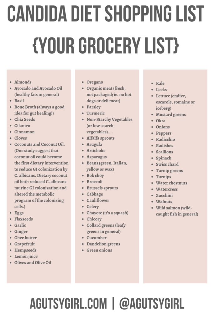 Candida Diet Shopping List {Your Grocery List} symptoms agutsygirl.com #candida grocery list