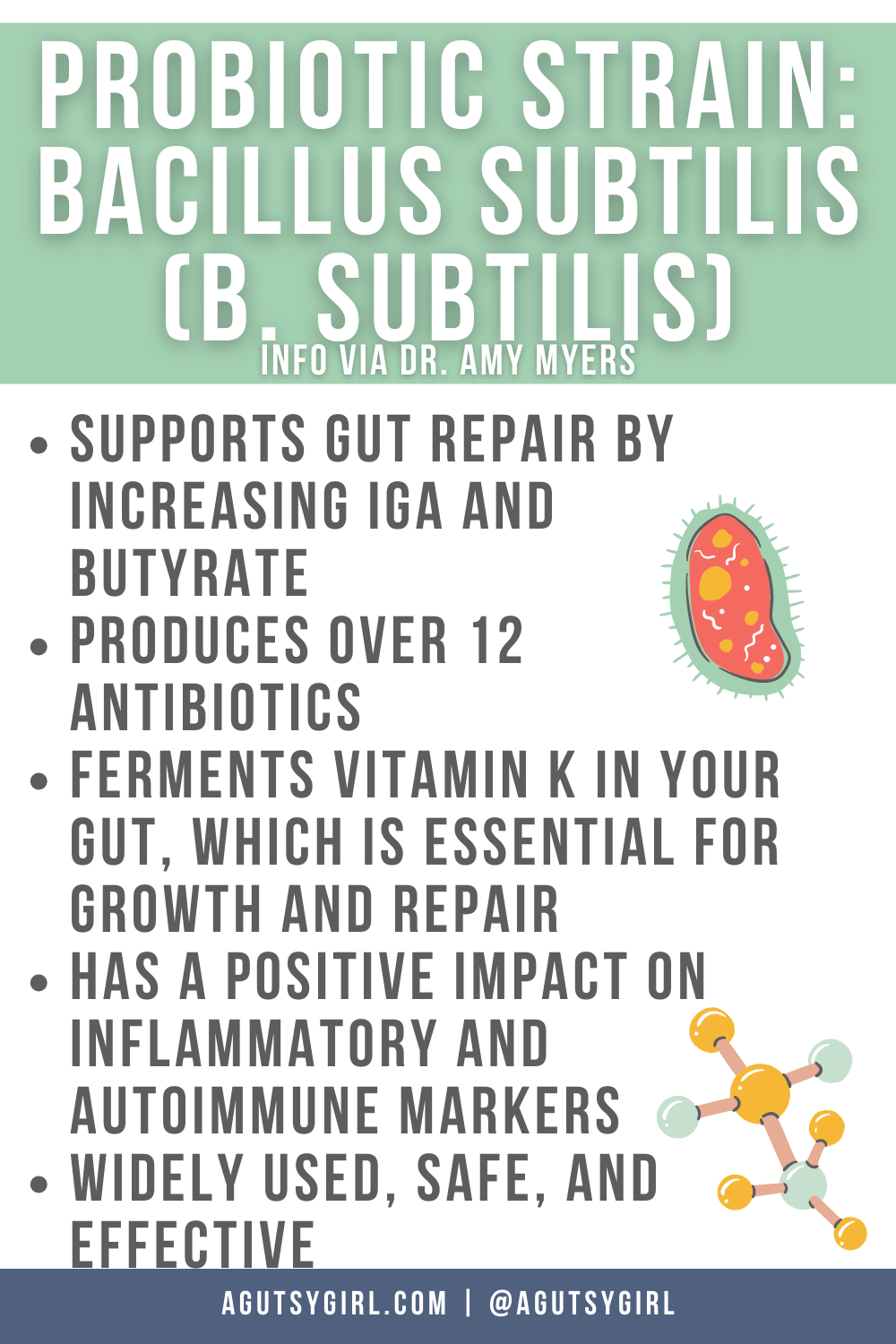 Probiotics for Leaky Gut Bacillus Subtilis agutsygirl.com #guthealth #leakygut #supplements #probiotics