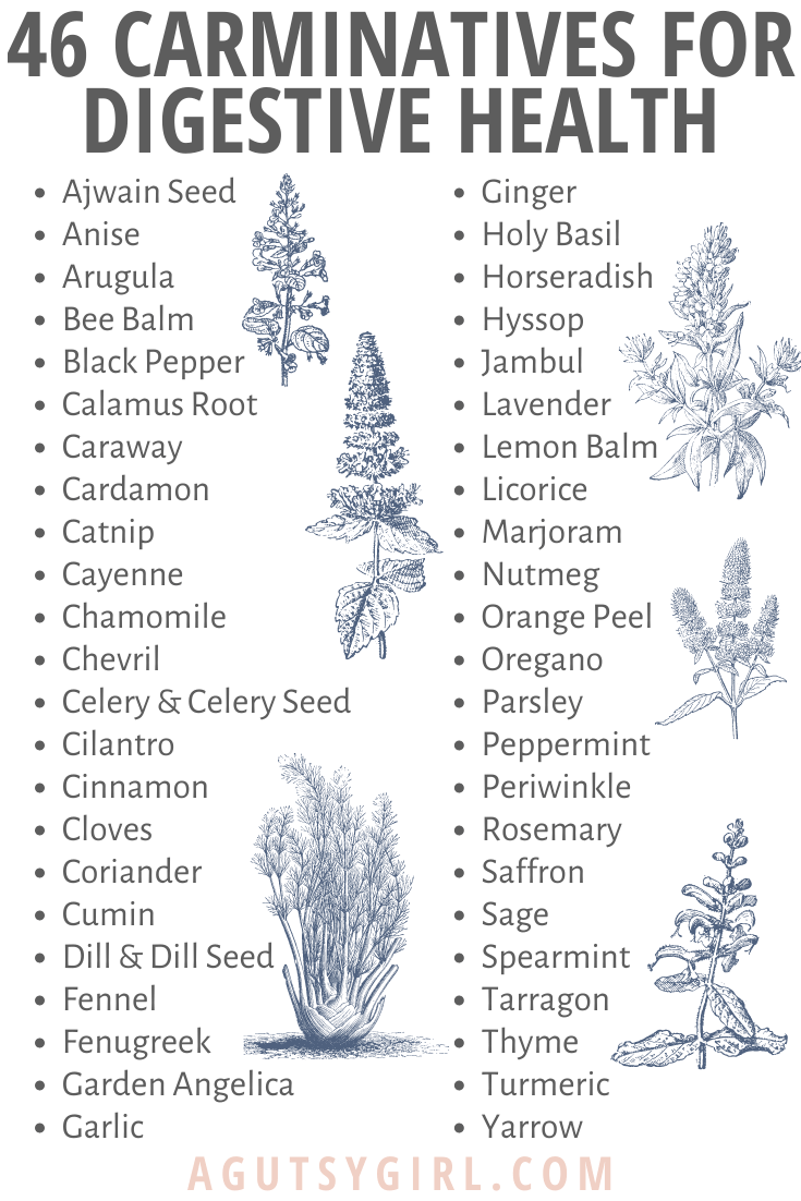 46 Carminatives for Digestive Health agutsygirl.com #digestion #guthealth #bloated #herbs