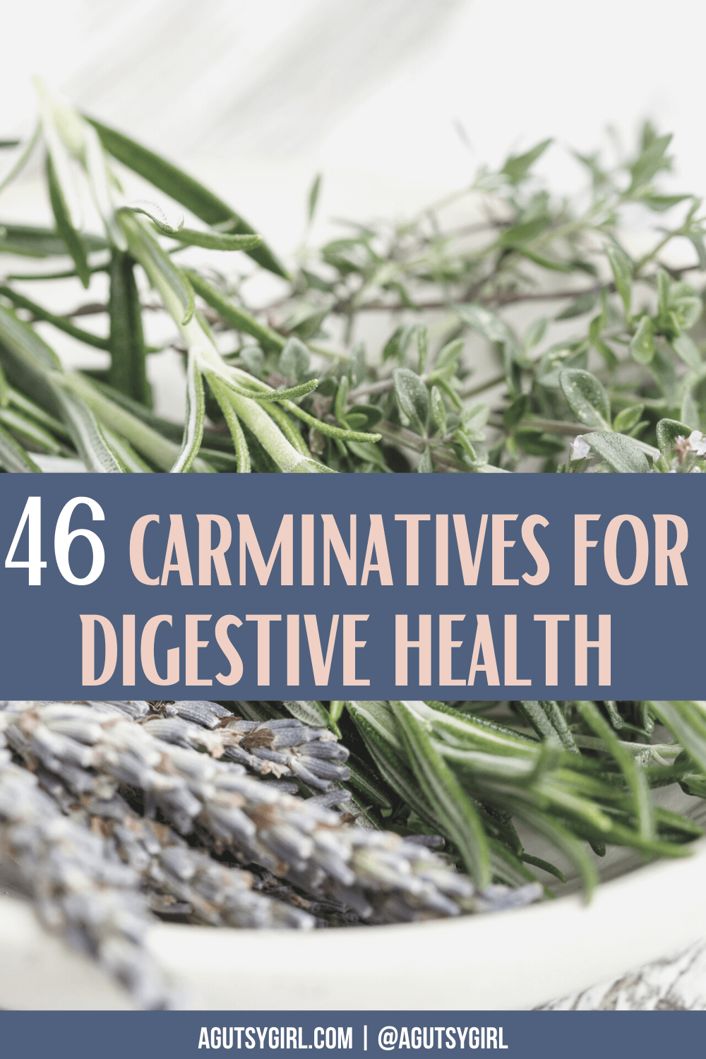 46 Carminatives for Digestive Health agutsygirl.com #herb #herbs #carminatives #digestion #guthealth