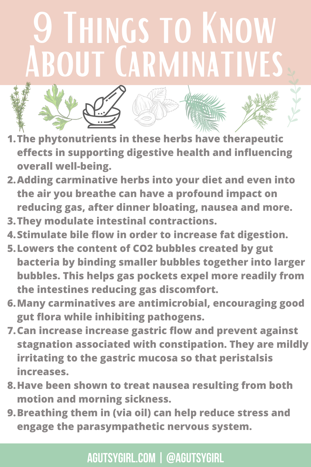 9 Things to Know About Carminatives agutsygirl.com #herbs #guthealth #digestivehealth