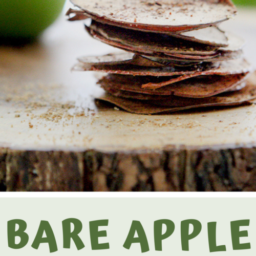 Bare Apple Chips recipe copycat with A Gutsy Girl agutsygirl.com