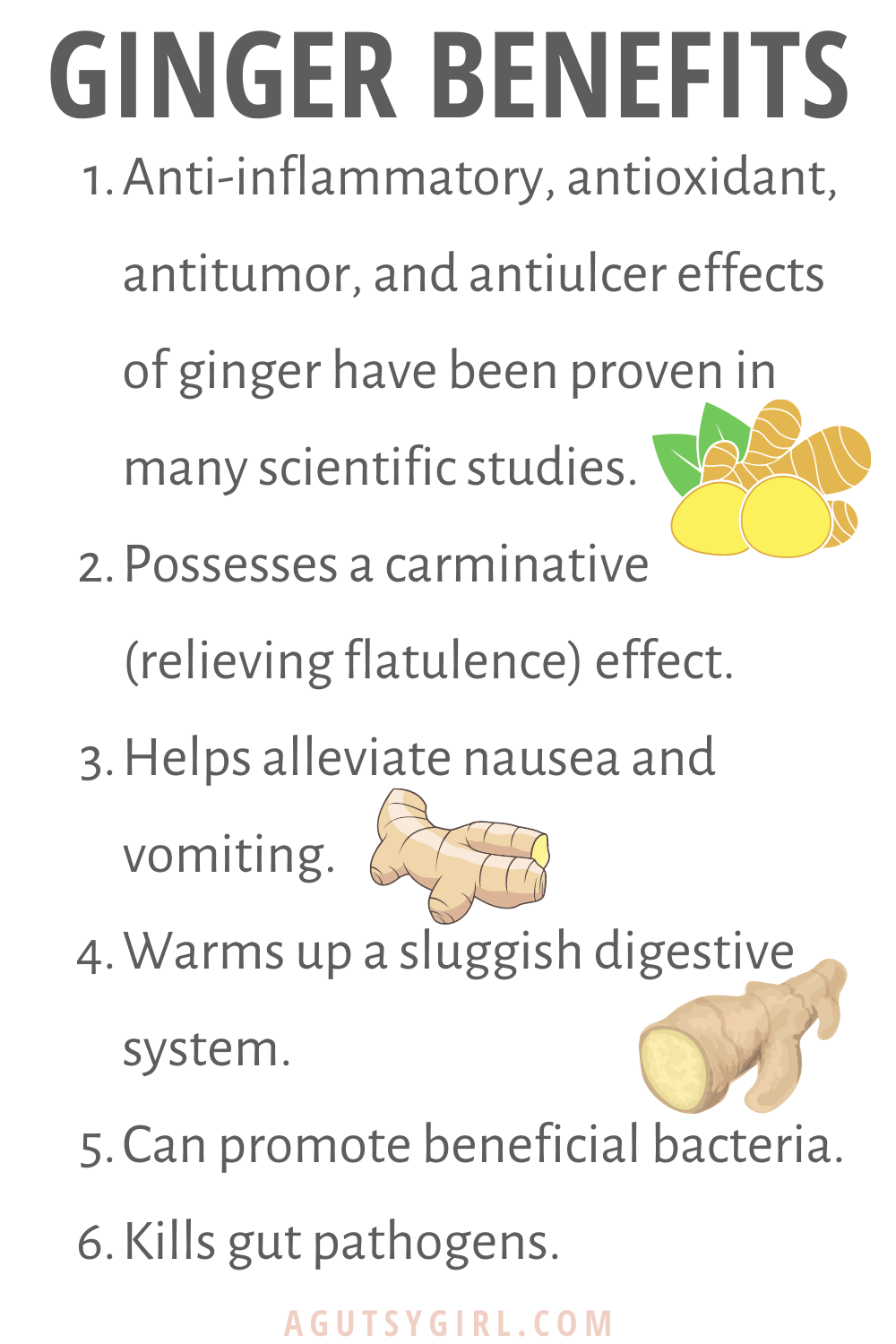 Ginger Benefits Paleo Pumpkin Spiced Muffins agutsygirl.com #paleorecipes #pumpkinspice #guthealth #dairyfreerecipes