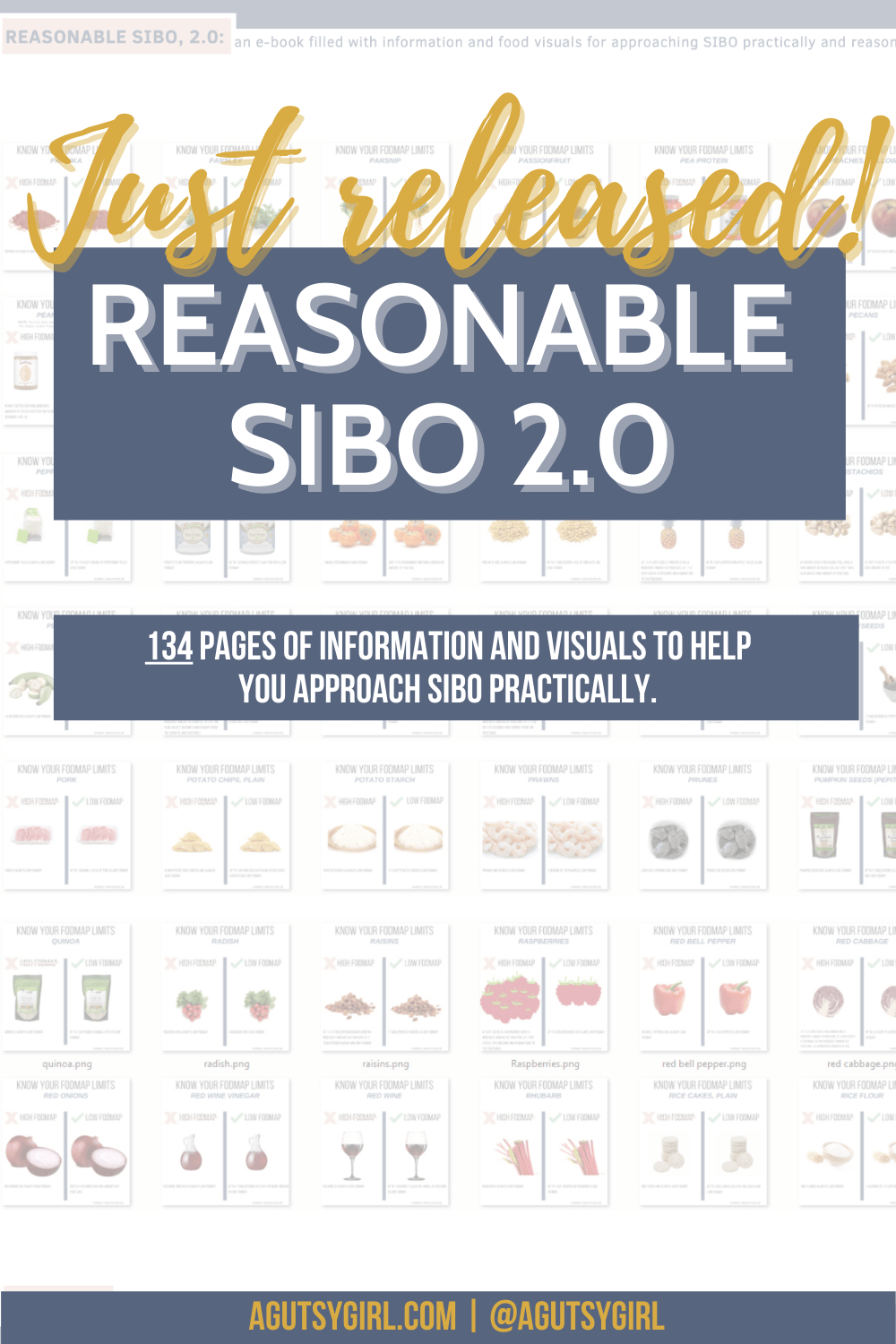 REASONABLE SIBO 2.0 with A Gutsy Girl agutsygirl.com #sibo #fodmap #guthealth #ibs