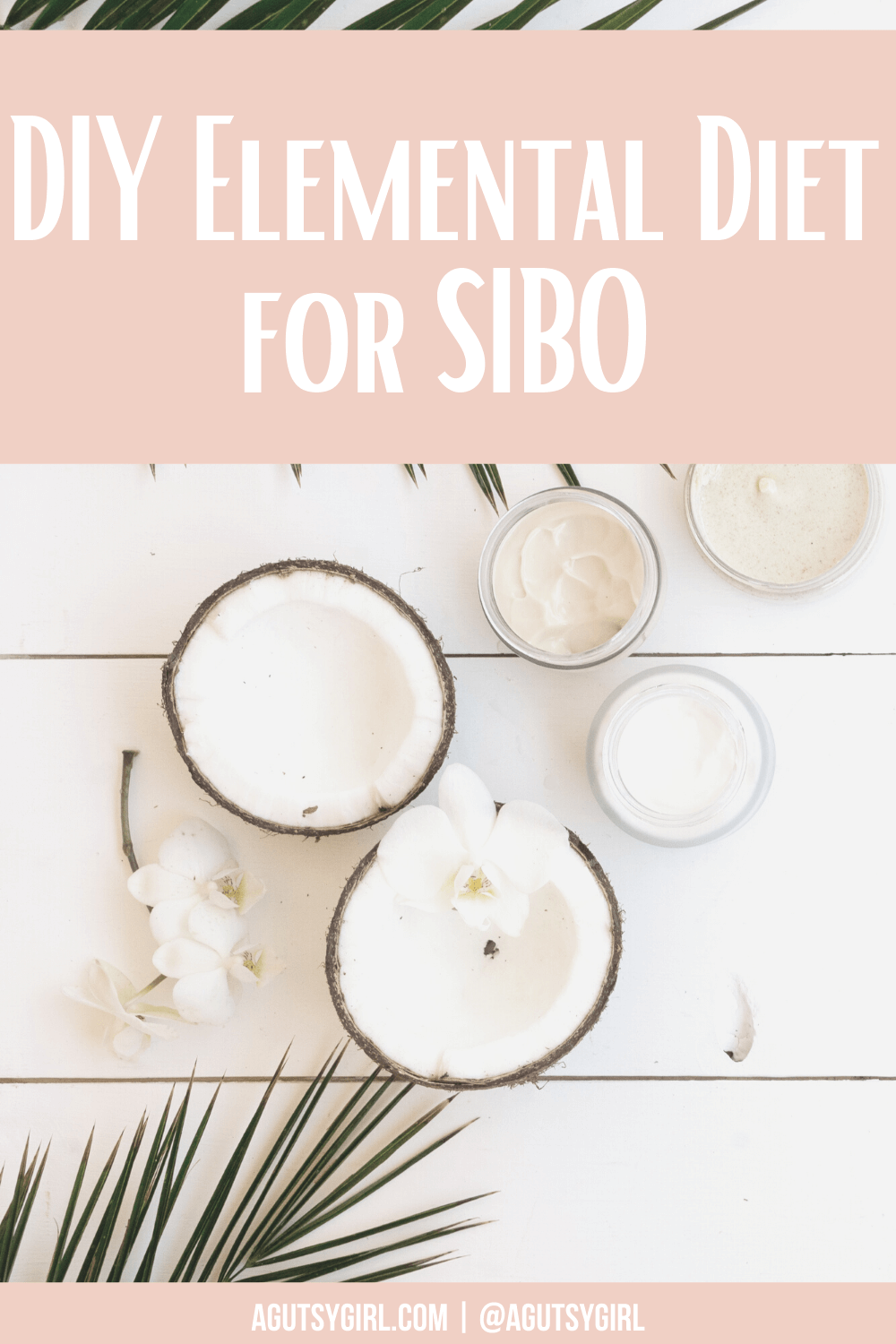 DIY Elemental Diet for SIBO agutsygirl.com #sibo #elementaldiet #sibodiet #guthealing how to
