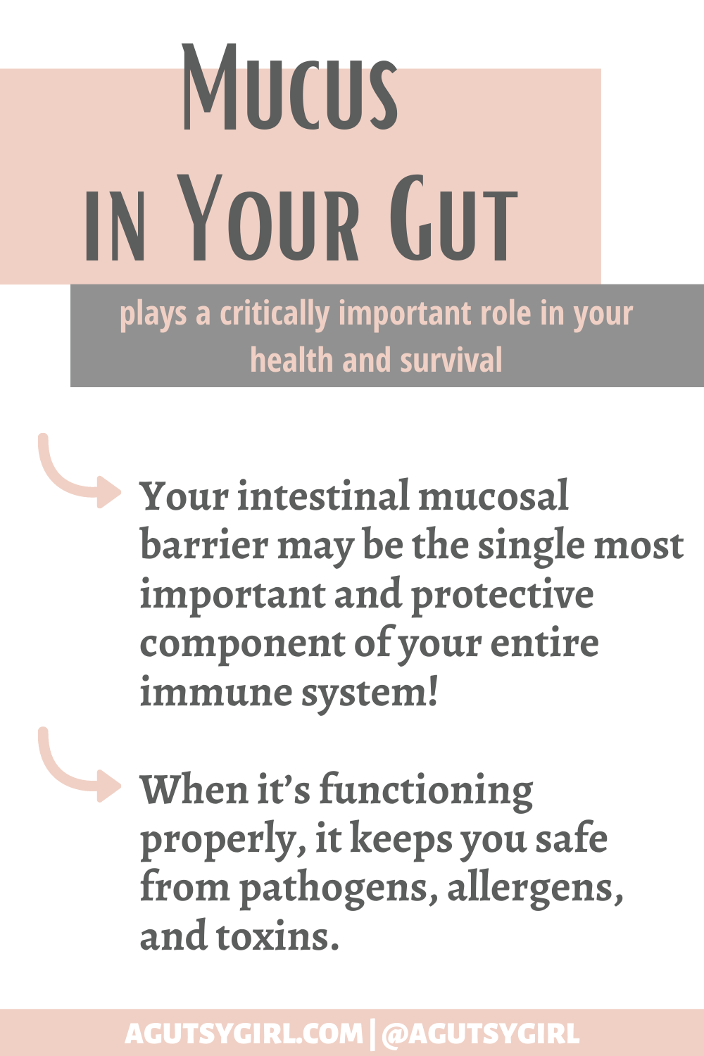 How to Build a Healthy Mucosal Barrier agutsygirl.com #guthealth #healthygut #gut