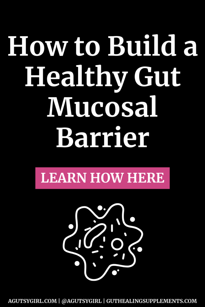 How to Build a Healthy Mucosal Barrier agutsygirl.com #gutlining #gut
