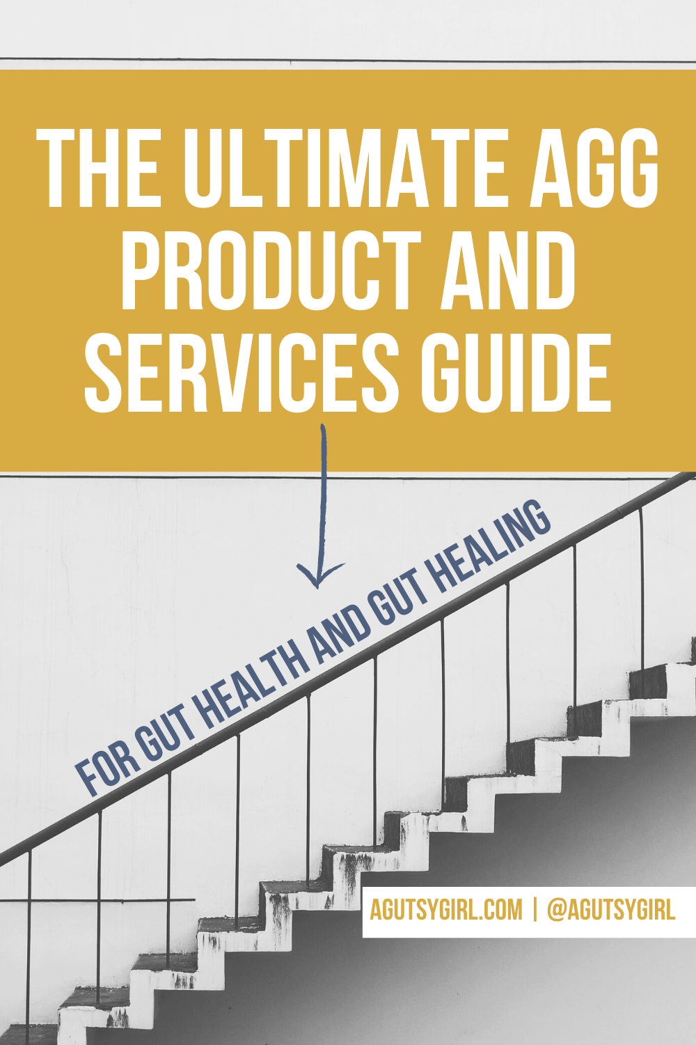 The Ultimate AGG Product and Services Guide agutsygirl.com #guthealth #healthcoaching #newyearsgoals