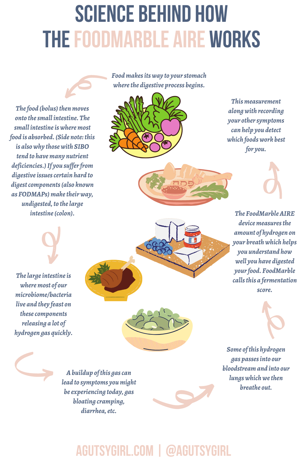 Science Behind How FoodMarble AIRE Works Hydrogen agutsygirl.com #foodmarble #healthtech #hydrogen #SIBO