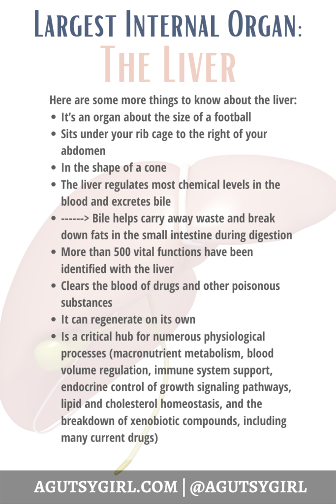 Liver Cells agutsygirl.com largest internal organ #liver #livercells