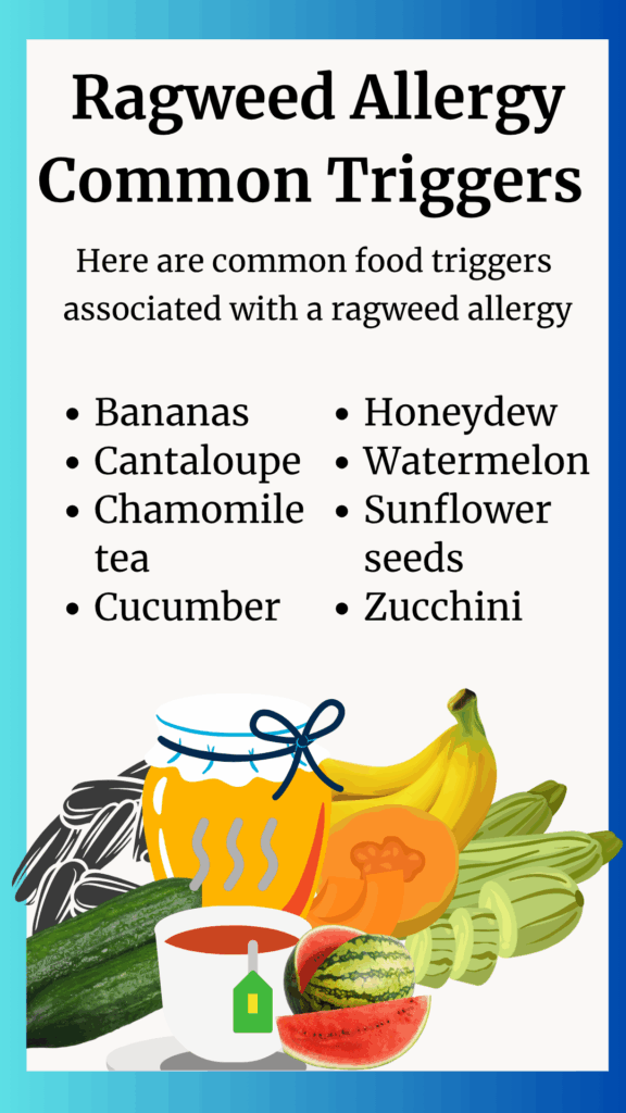 Oral Allergy Syndrome Chart Ragweed Allergy Common Triggers agutsygirl.com
