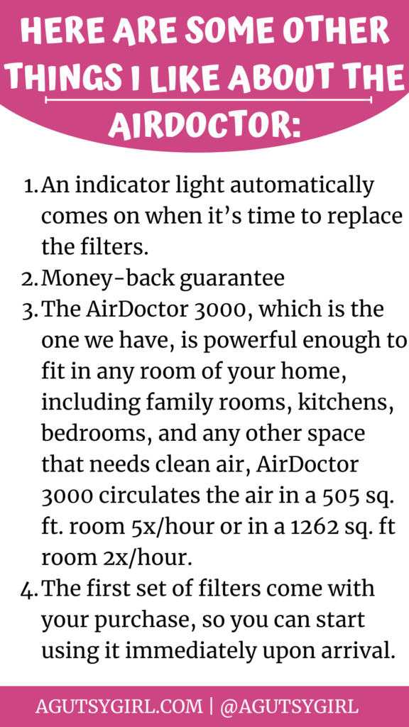 Air Filters best air filter highlights with A Gutsy Girl agutsygirl.com