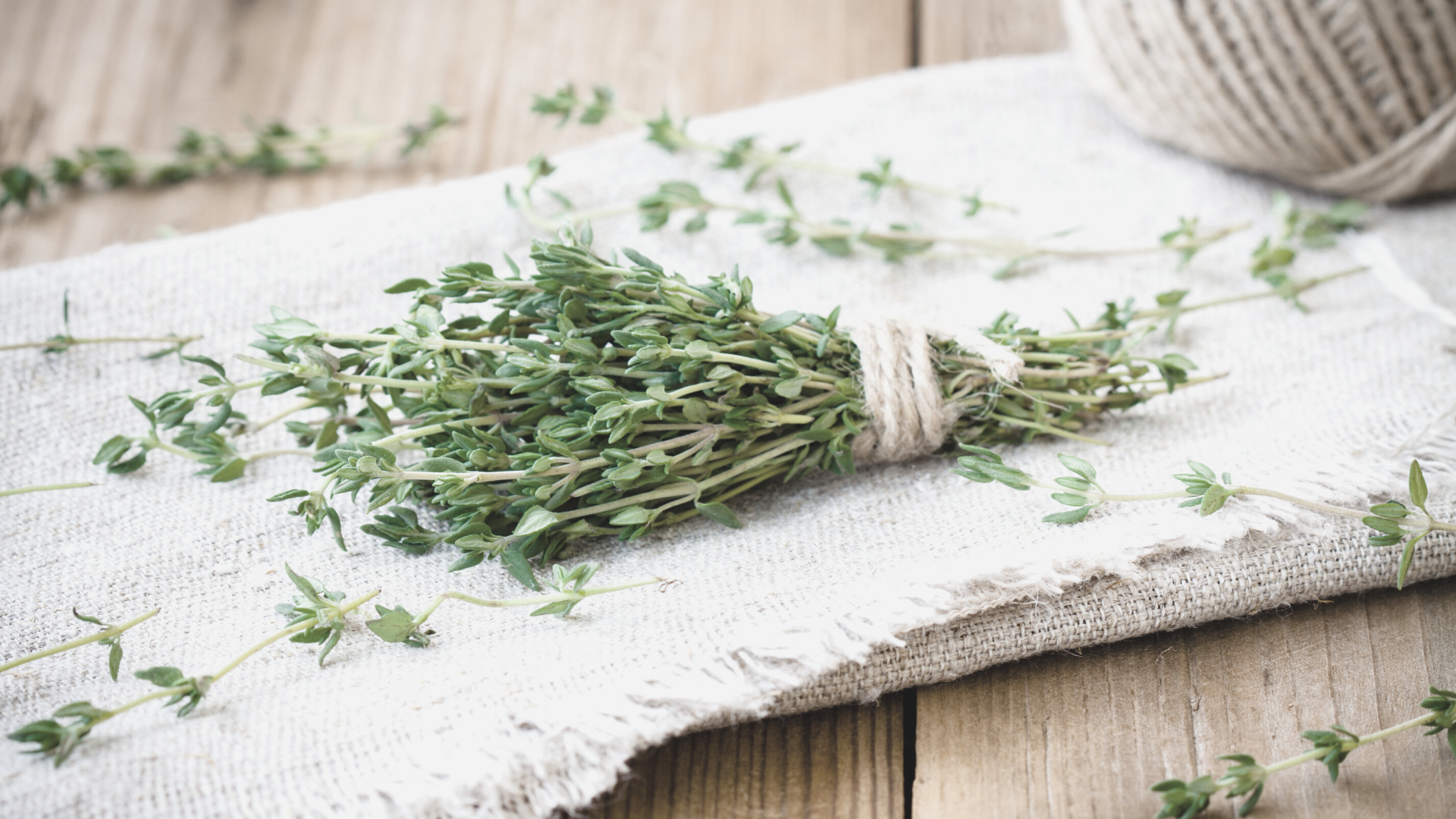 Thyme {Herbs and Gut Health}