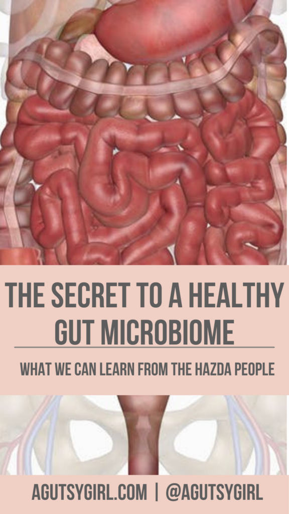 Healthy Gut microbiome agutsygirl.com #microbiome