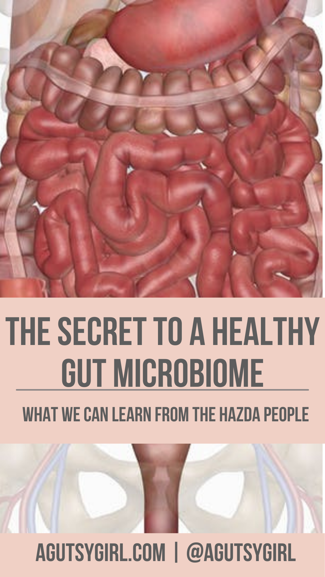 The Secret to a Healthy Gut Microbiome - A Gutsy Girl®