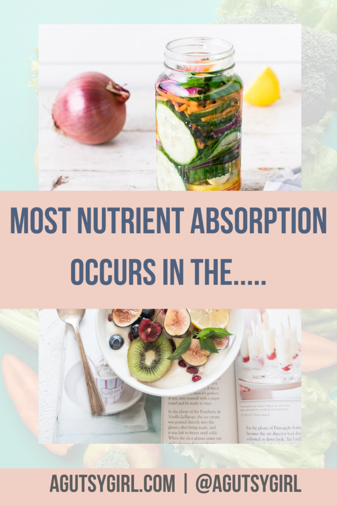 Most Nutrient Absorption Occurs in the agutsygirl.com #smallintestine #sibo
