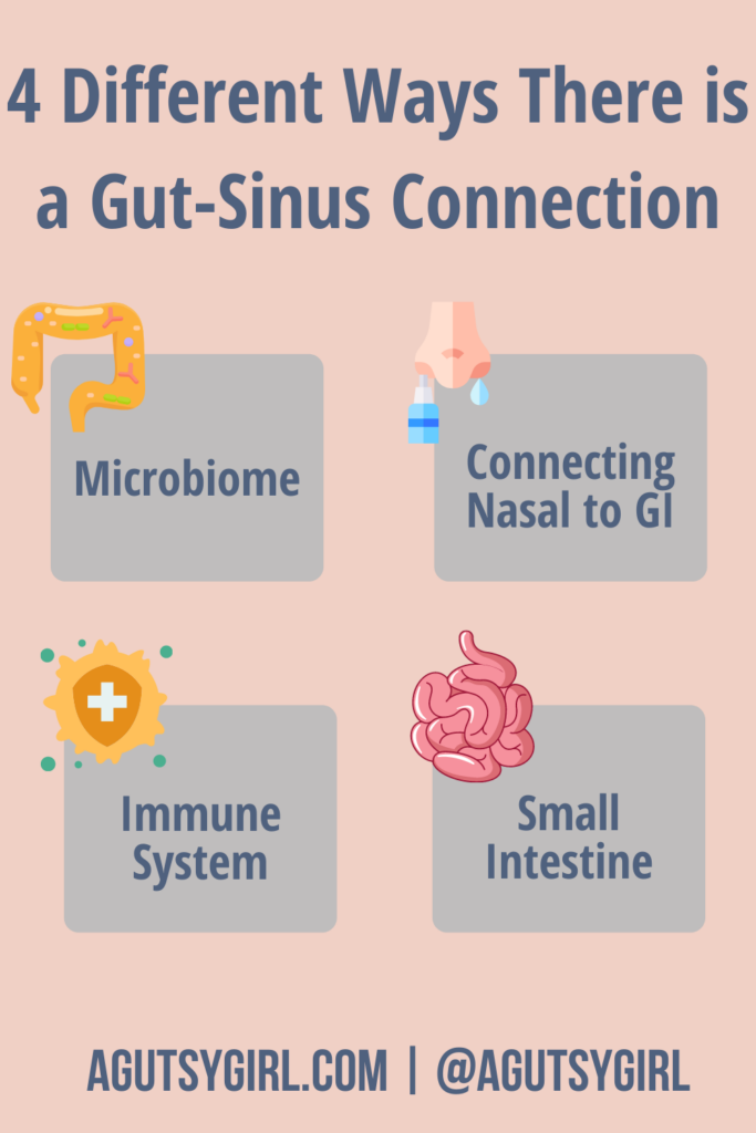 4 ways Can Acid Reflux Cause Sinus Problems {+ 4 more gut-sinus connections} agutsygirl.com #guthealth #sinus