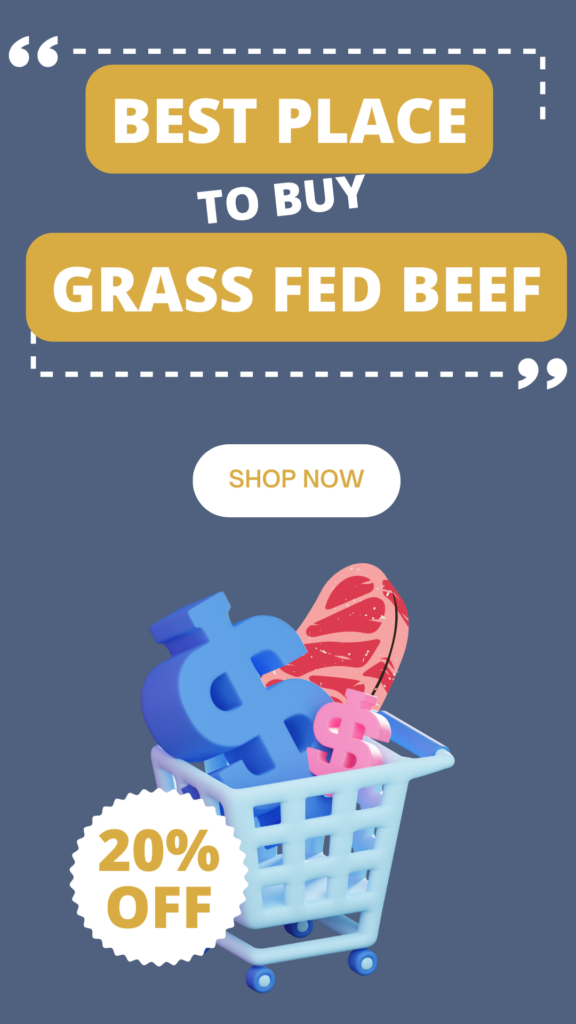 Best Place to Buy Grass Fed Beef {Online in 2022} agutsygirl.com #grassfed