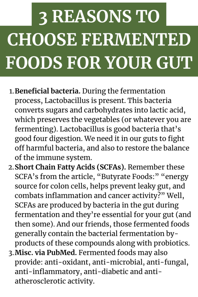 Fermented Essentials agutsygirl.com 3 reasons to choose fermentation